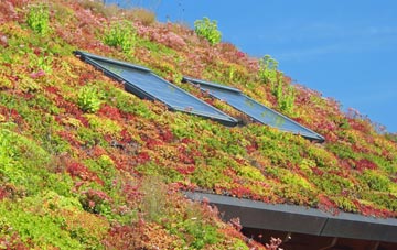 Hilcott living roof systems